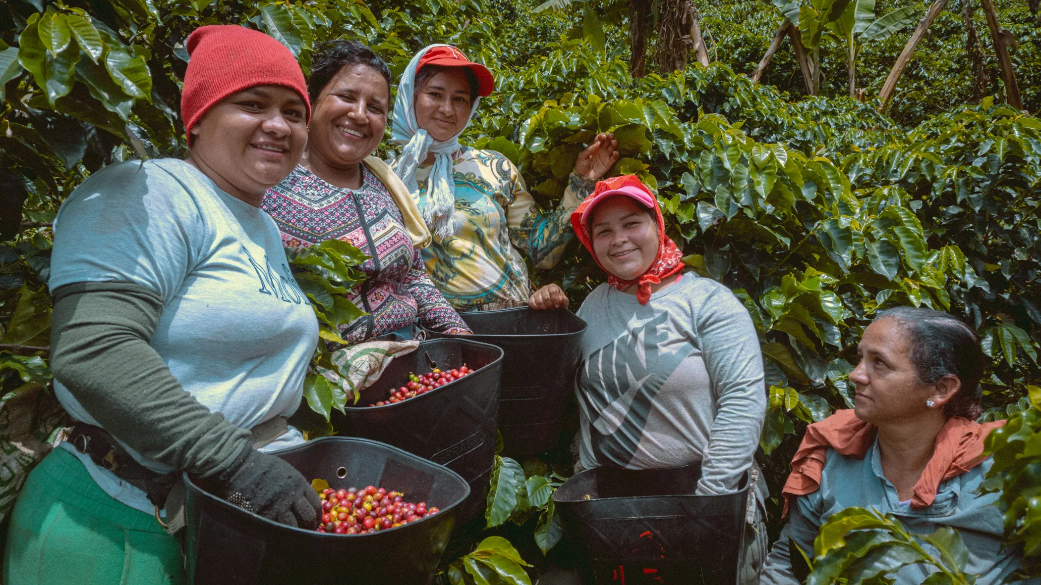 Caficultoras en los cultivos de Café de los Cedros